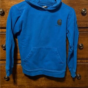 Carhartt Men's Vibrant Blue Hoodie